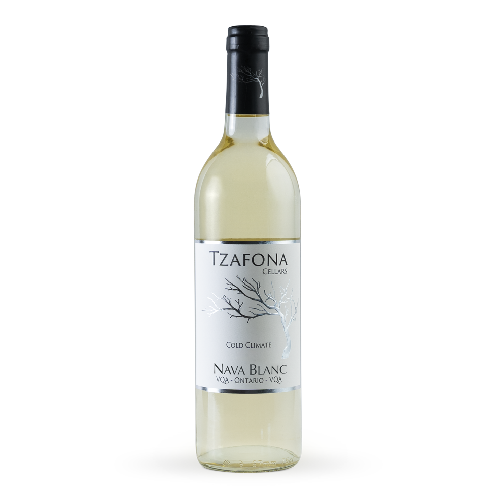 Tzafona Nava Blanc