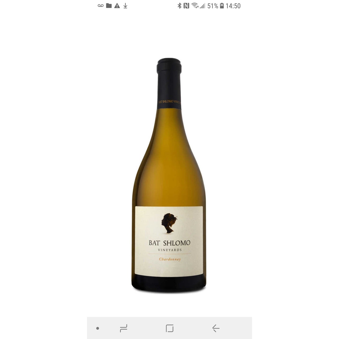 Bat shlomo Chardonnay
